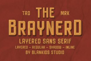 Braynerd: A Designer’s Honest Review