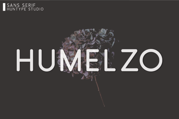 Humelzo: A Clean Sans Serif Font for Modern Web Design