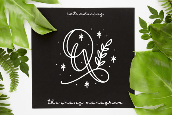 Quinn Monogram: A Festive Display Font for Web Design