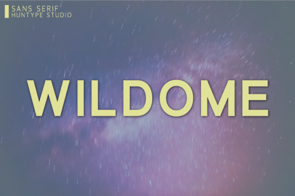 Wildome: A Bold Sans Serif Font for Campaigns